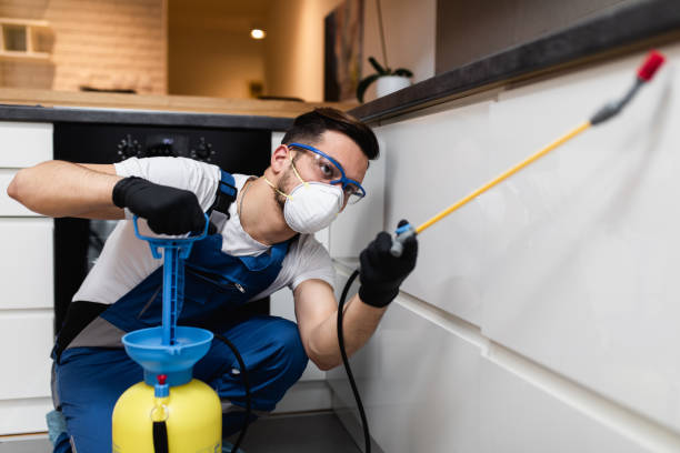 Best Pest Control Near Me in Terryville, NY