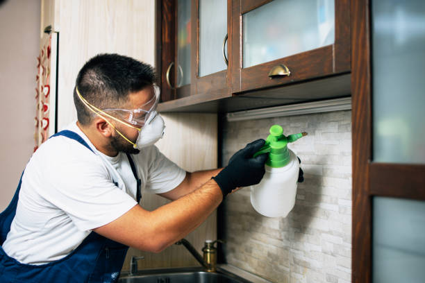 Best Residential Pest Control  in Terryville, NY