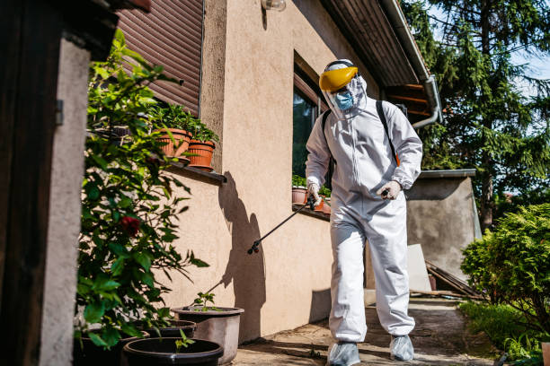 Best Best Pest Control Companies  in Terryville, NY