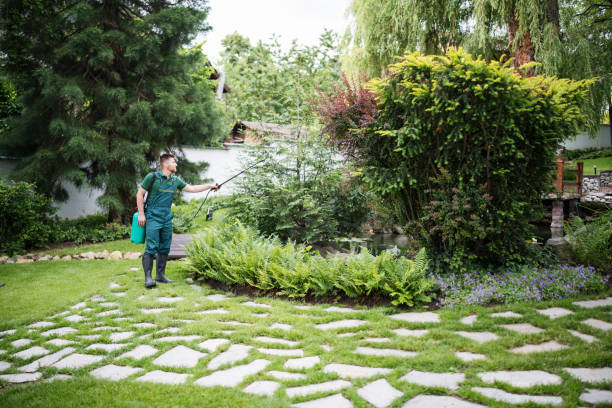 Best Pest Removal Services  in Terryville, NY