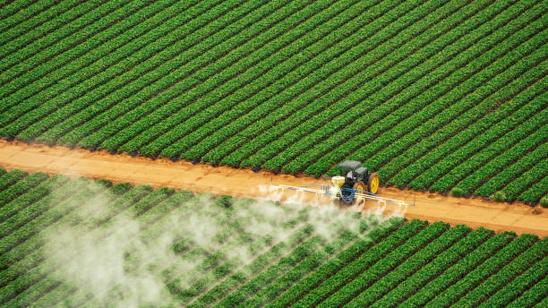 Best Affordable Exterminators  in Terryville, NY