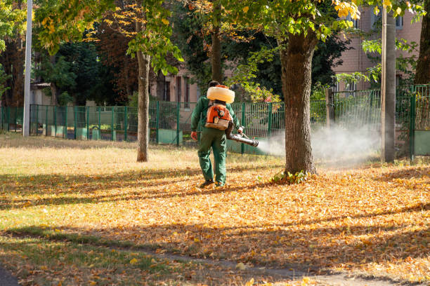 Best Wasp Removal Services  in Terryville, NY