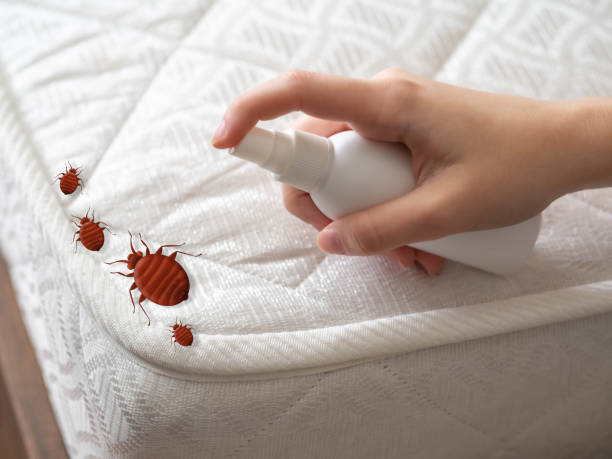 Best Pest Prevention Services  in Terryville, NY