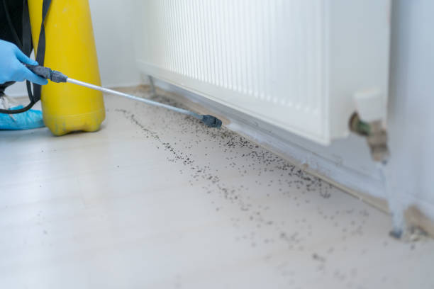 Best Commercial Pest Control Services  in Terryville, NY