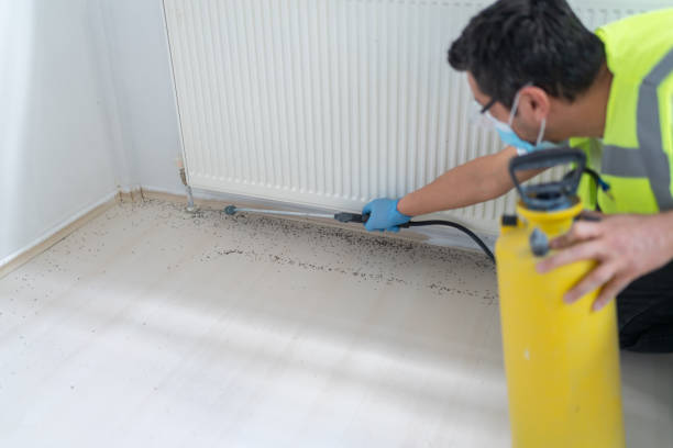 Best Exterminator Services  in Terryville, NY