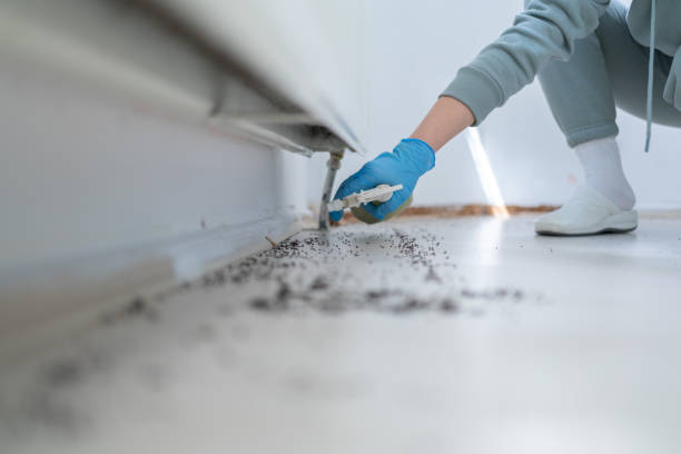 Best Pest Control Treatment  in Terryville, NY