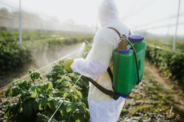 Best Wasp Removal Services  in Terryville, NY